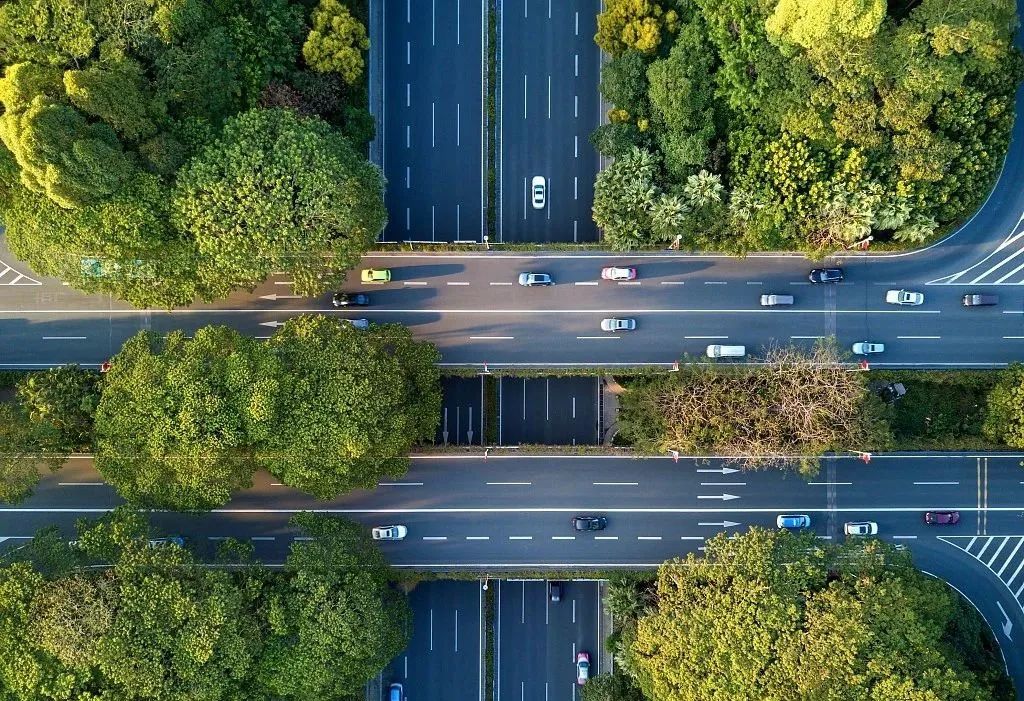 精选道路绿化设计平面+效果图合集!(附下载链接) 精选道路绿化设计平面+效果图合集!(附下载链接)