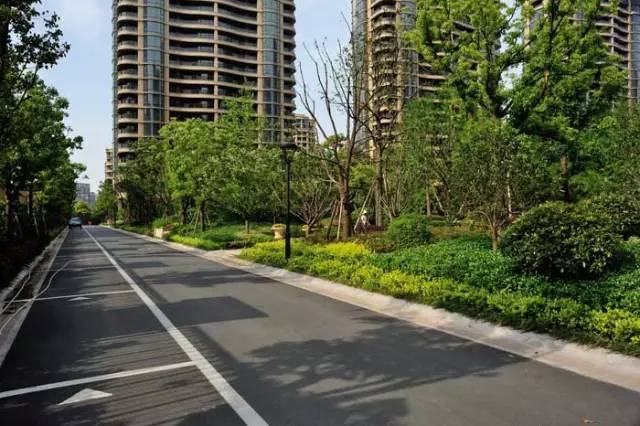 精选道路绿化设计平面+效果图合集!(附下载链接) 精选道路绿化设计平面+效果图合集!(附下载链接)